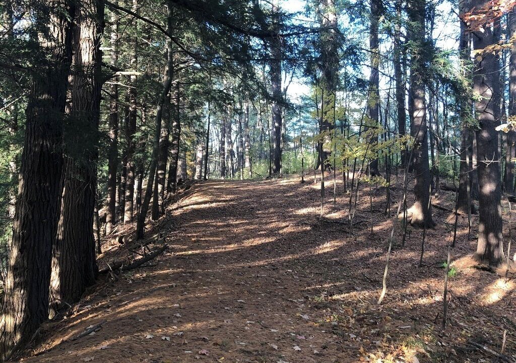 Photo of Others in Fly Creek