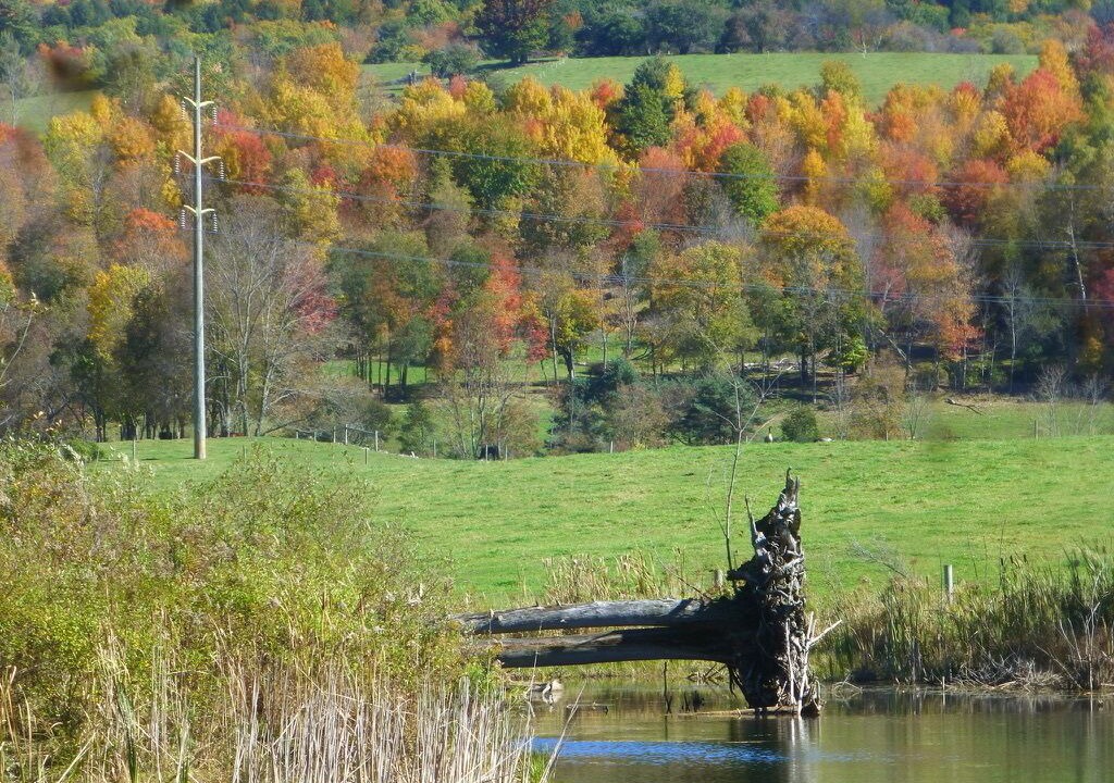 Photo of Others in Fly Creek