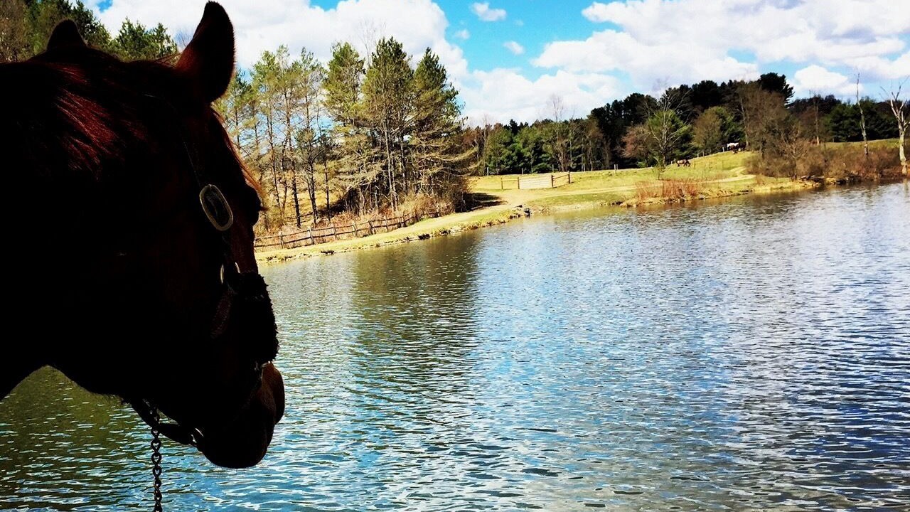 Photo of Others in Fly Creek