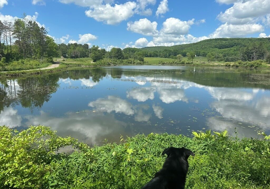 Photo of Others in Fly Creek