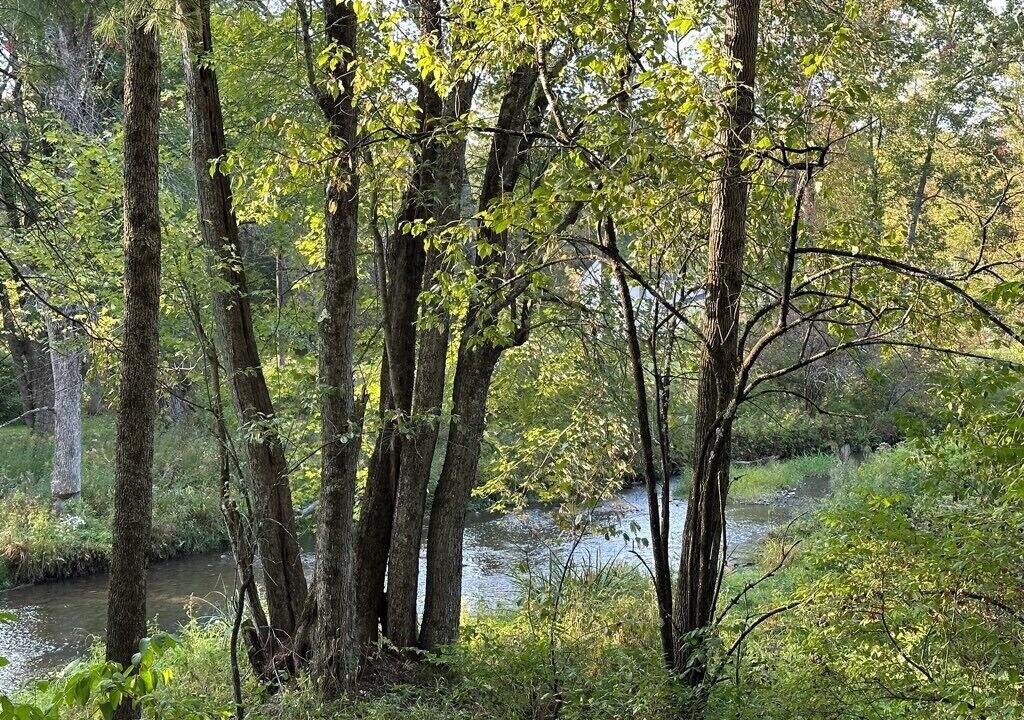 Photo of Others in Fly Creek