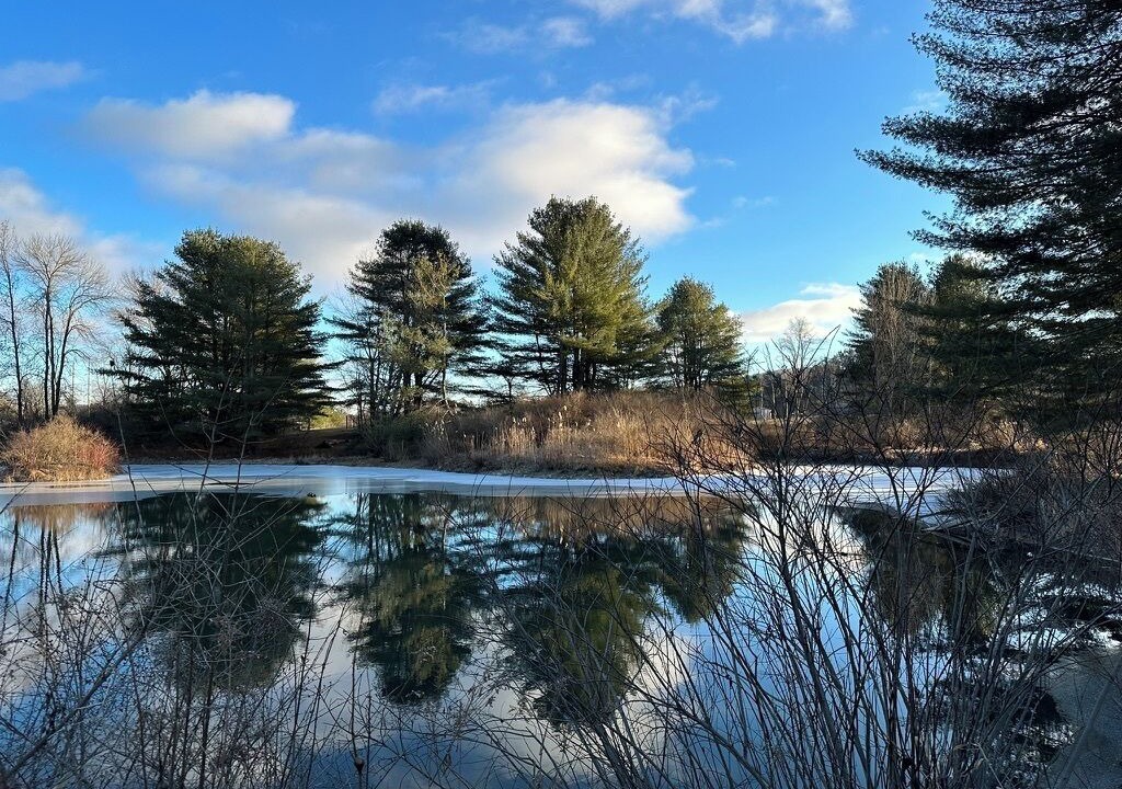 Photo of Others in Fly Creek