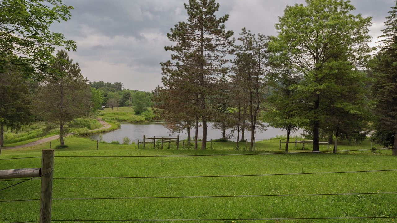 Photo of Others in Fly Creek