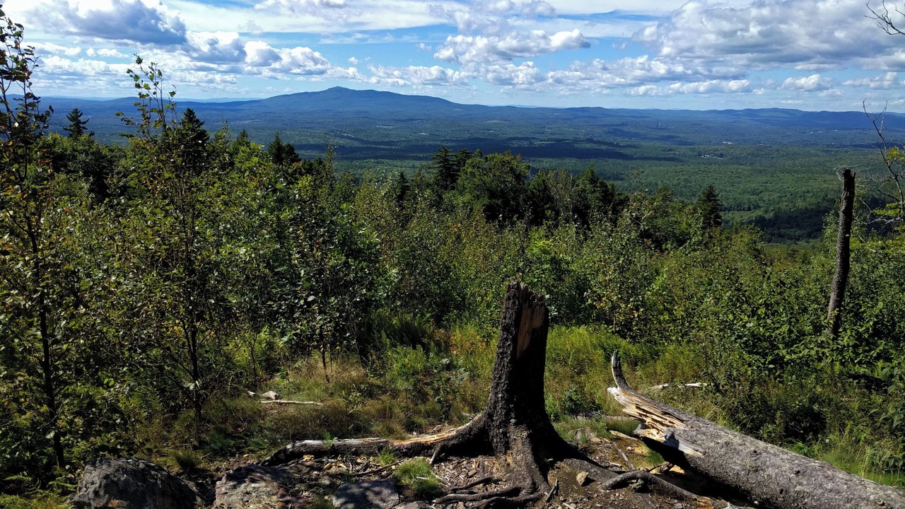 Photo of Others in Sharon