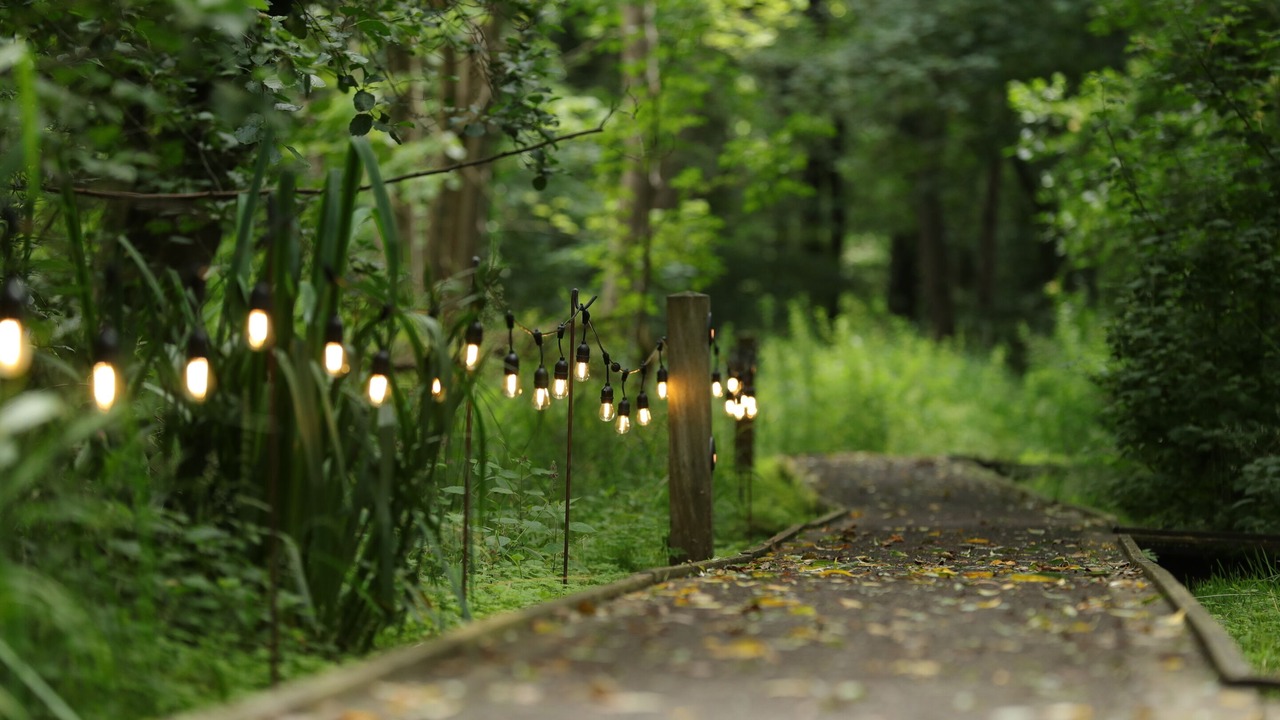 Photo of Outdoor in Aldborough