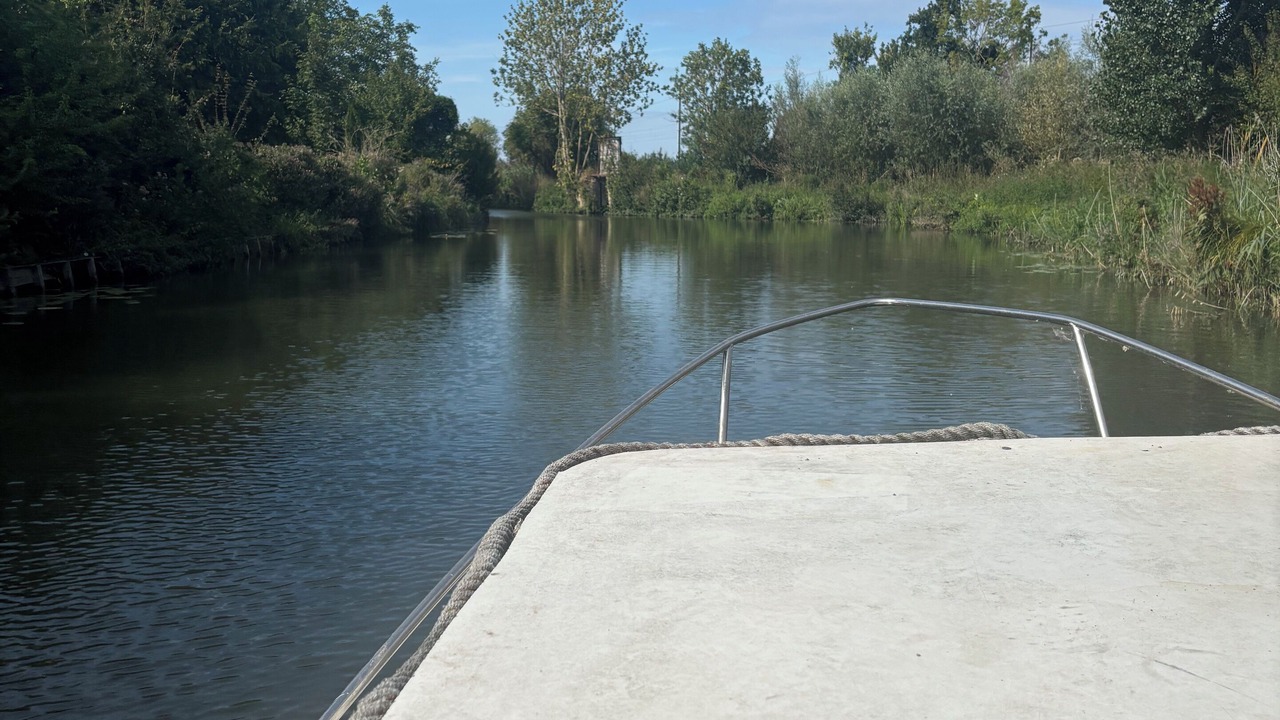 Photo of Others in Salperwick