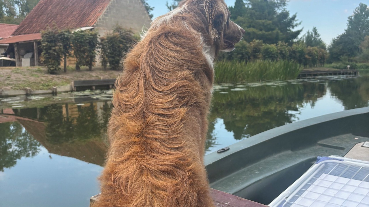 Photo of Others in Salperwick