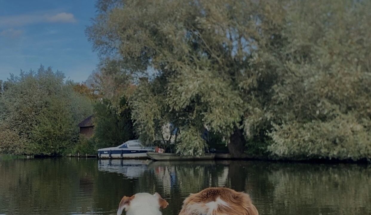 Photo of Others in Salperwick