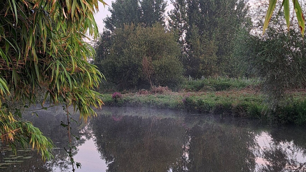 Photo of Others in Salperwick