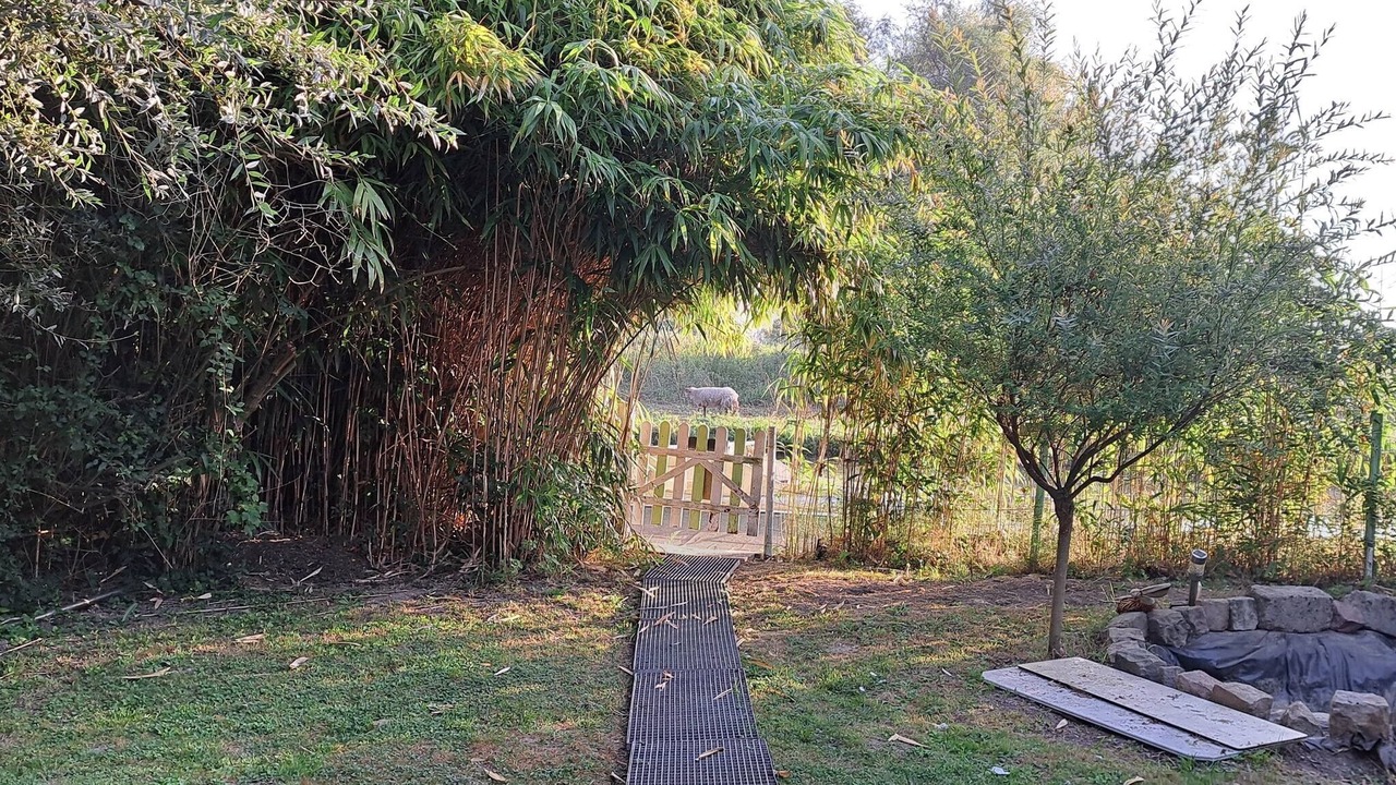 Photo of Outdoor in Salperwick