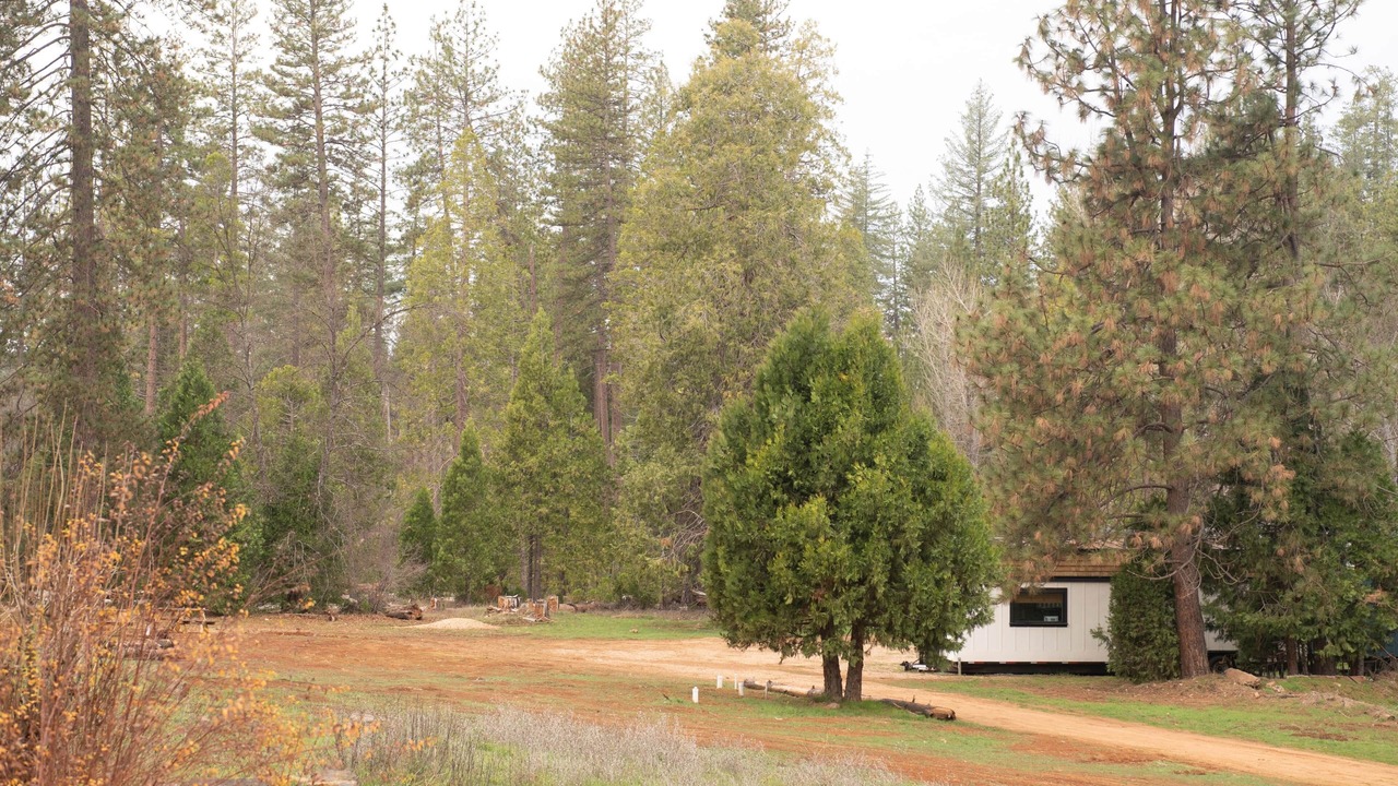 Photo of Others in Groveland