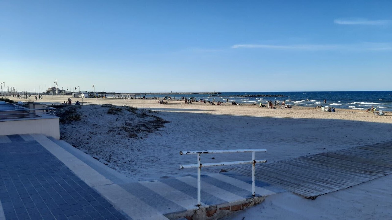 Photo of Others in Oliva