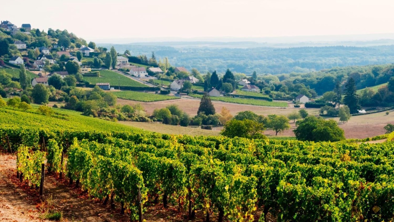 Photo of Others in Aiguelèze