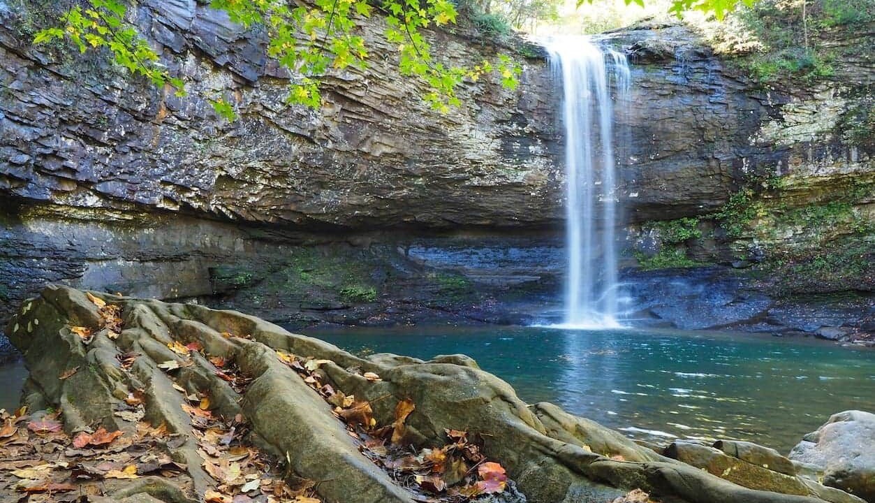 Photo of Others in Trenton