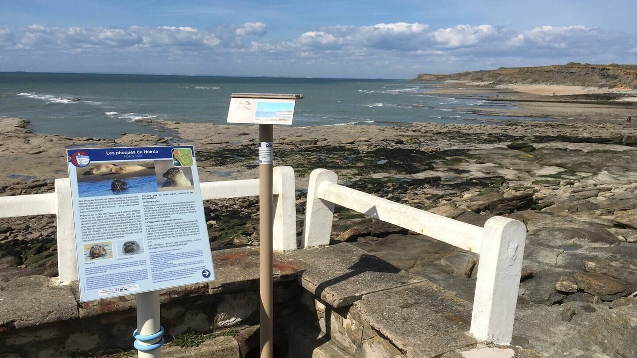 Photo of Others in Audresselles