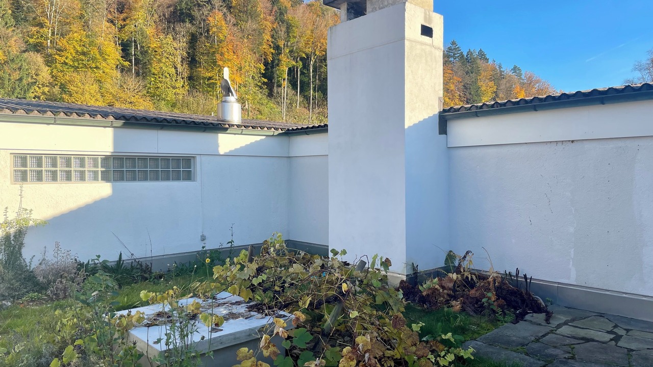 Photo of Outdoor in Uetliberg