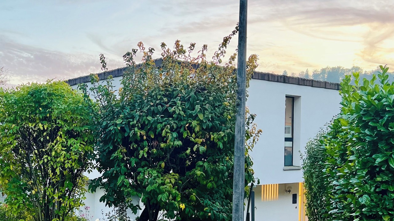 Photo of Outdoor in Uetliberg