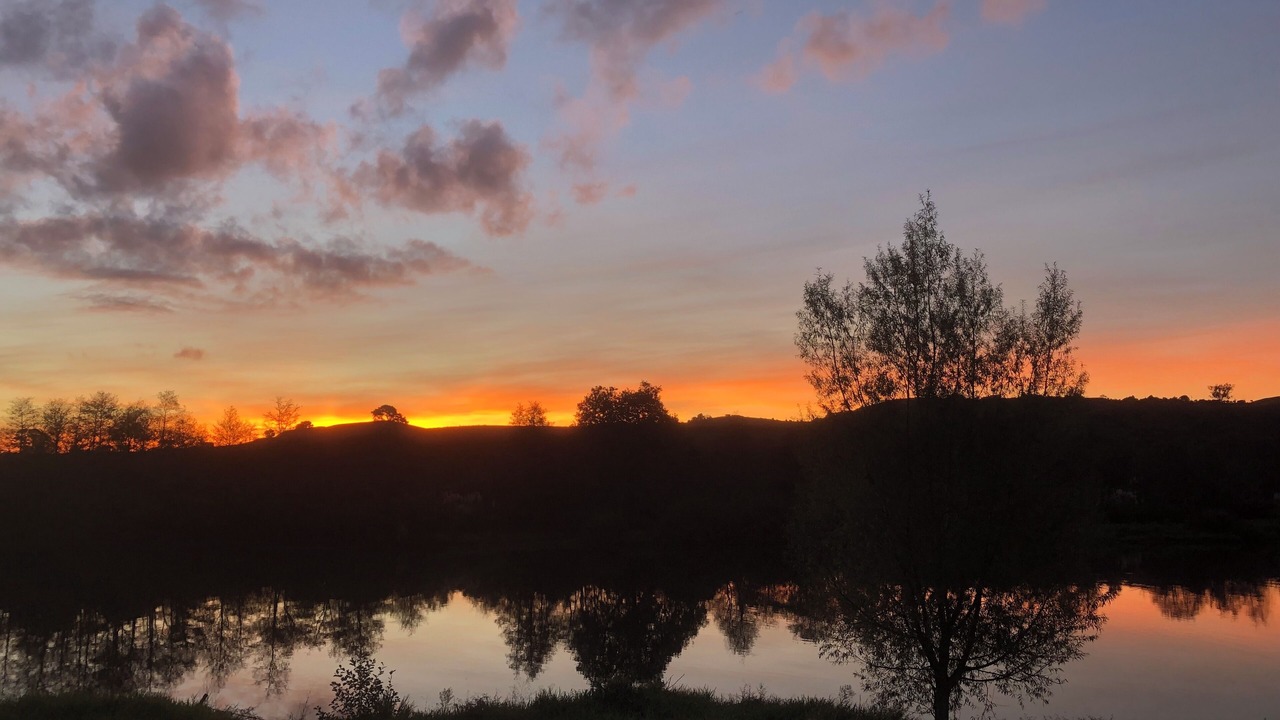 Photo of Others in Pukekawa