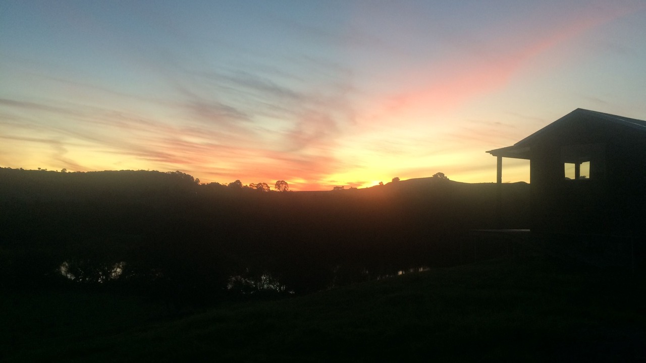 Photo of Others in Pukekawa