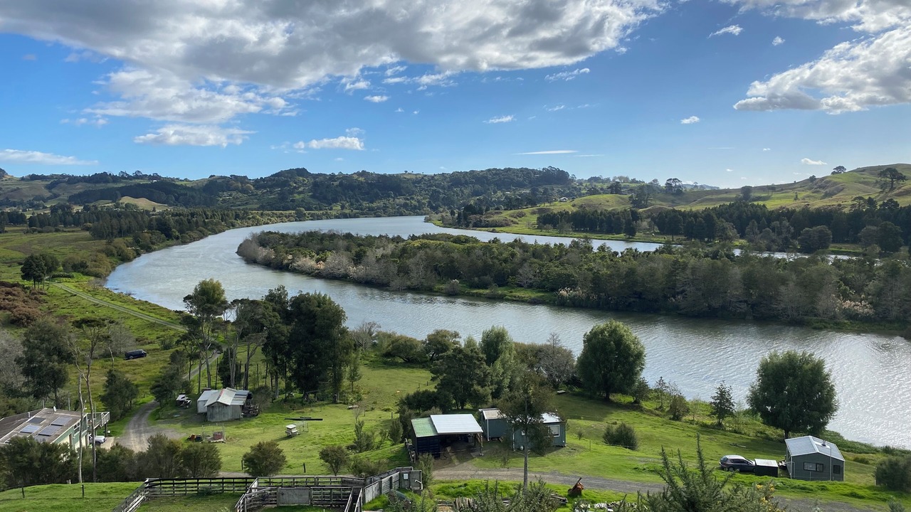 Photo of Others in Pukekawa