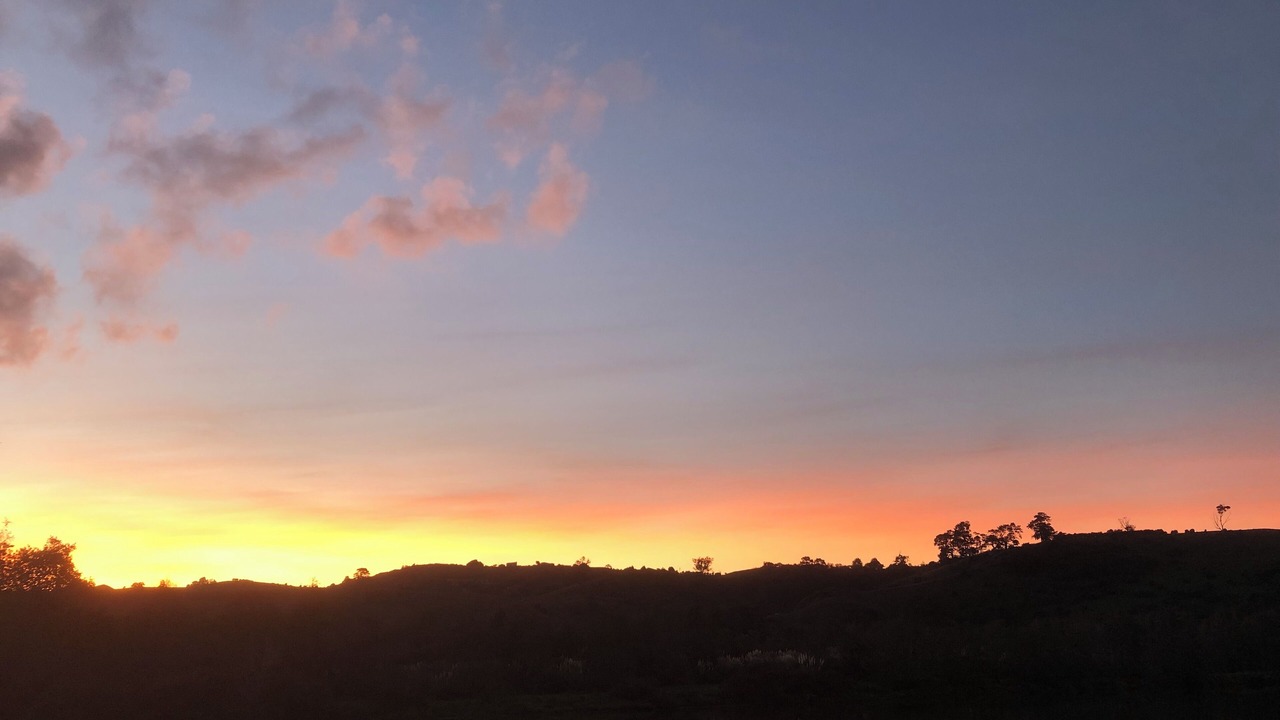 Photo of Others in Pukekawa