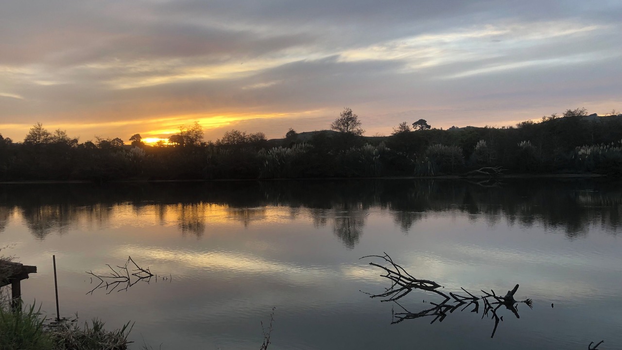 Photo of Others in Pukekawa