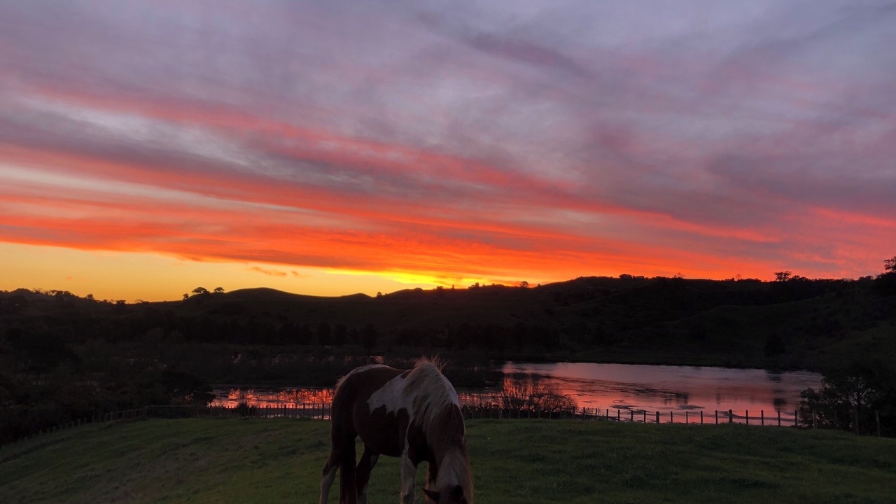 Photo of Others in Pukekawa