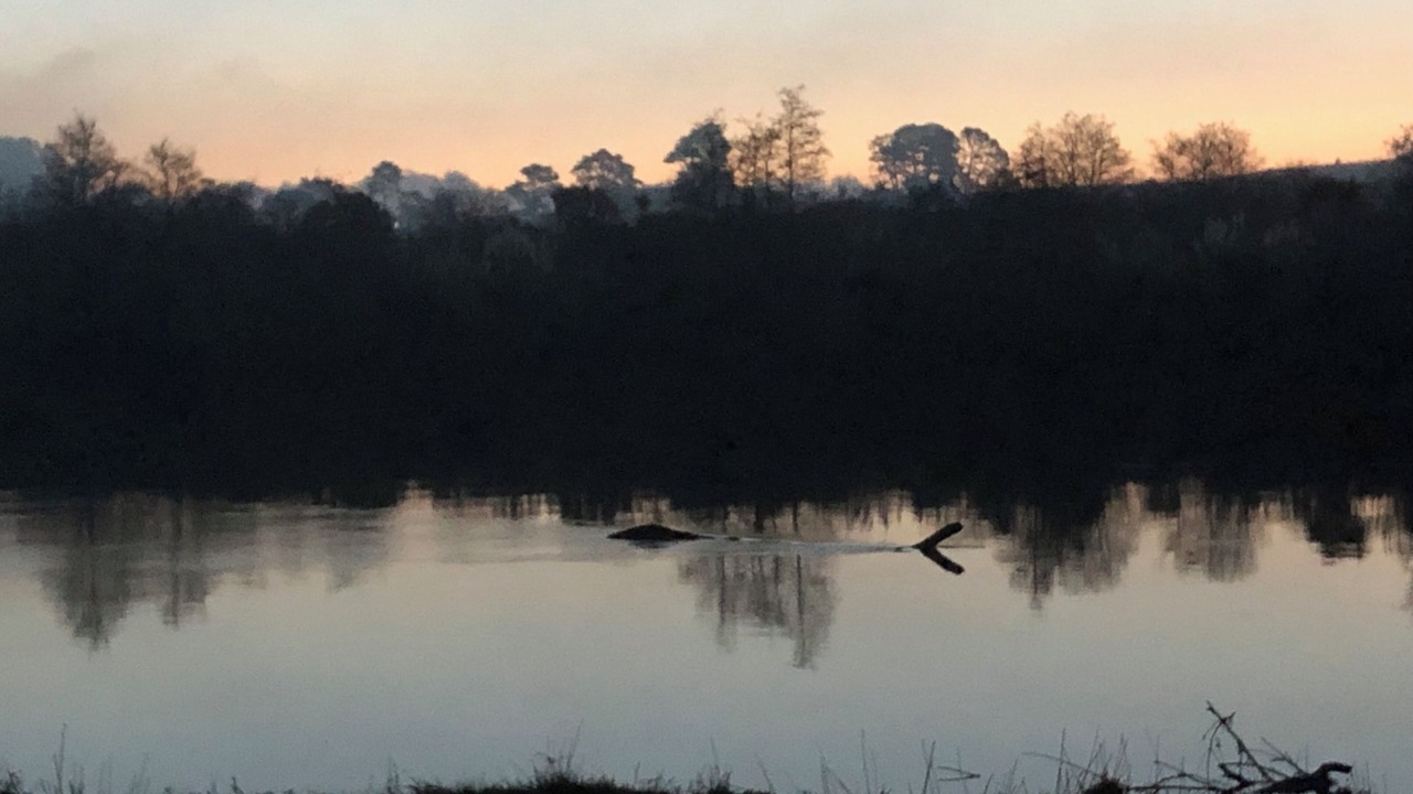 Photo of Others in Pukekawa