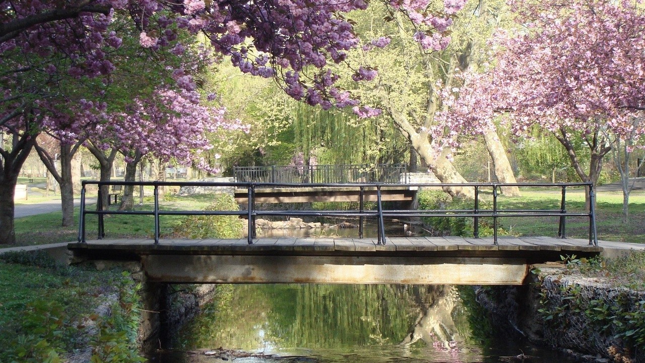 Photo of Others in Belleville