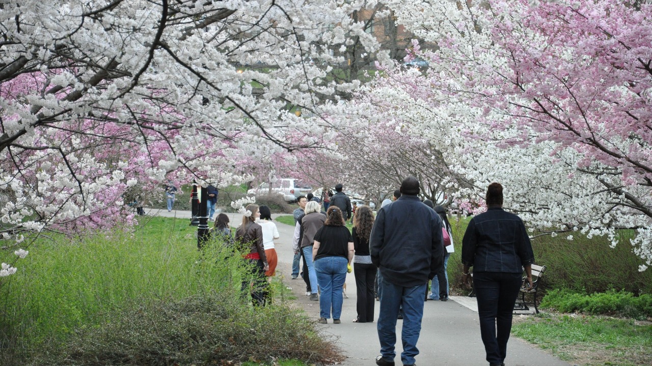 Photo of Others in Belleville
