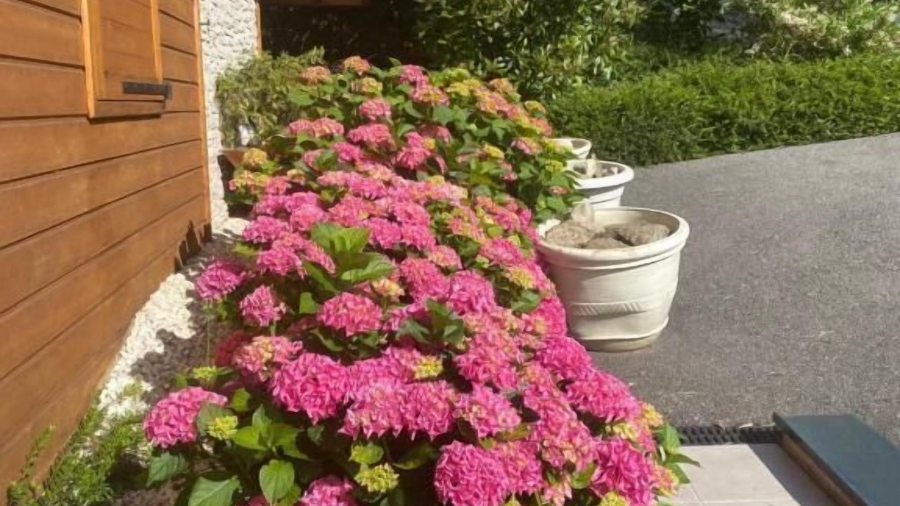 Photo of Outdoor in Coise-Saint-Jean-Pied-Gauthier