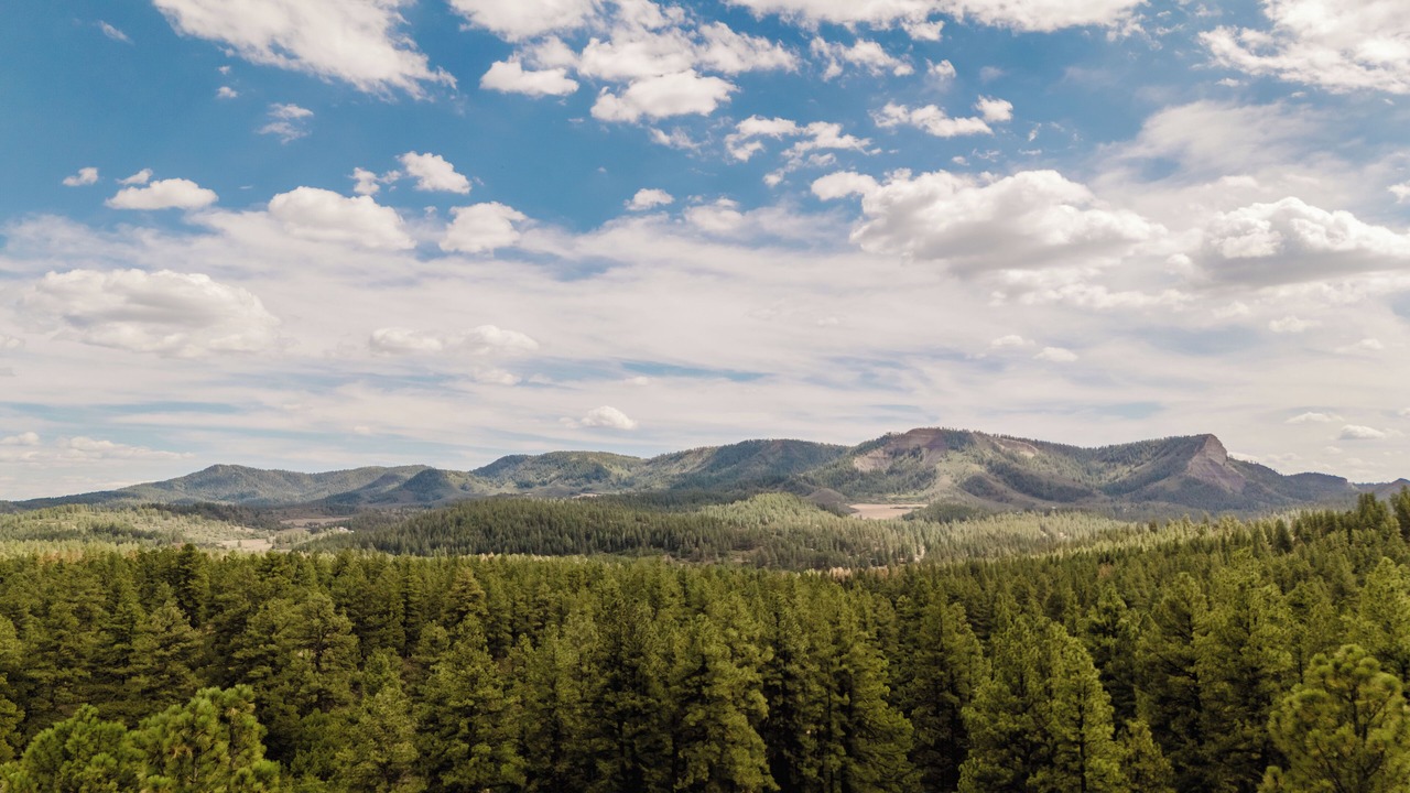Photo of Others in Pagosa Springs