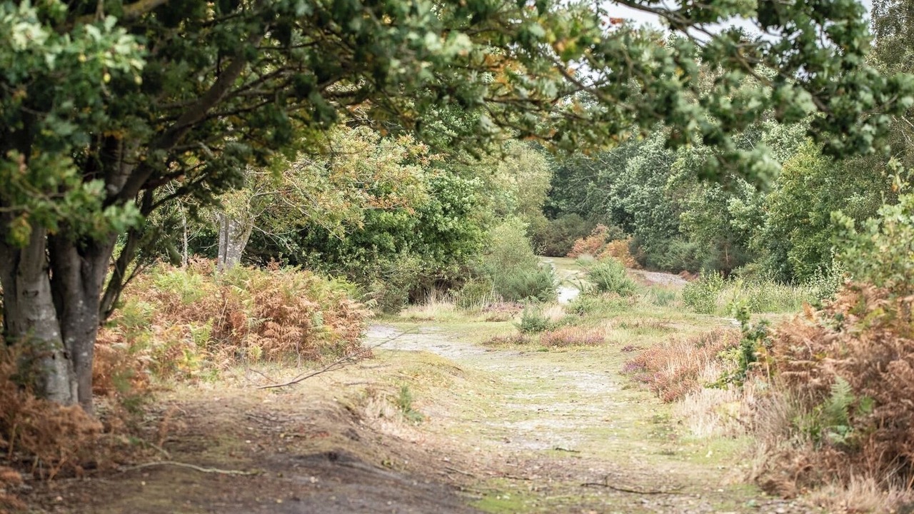 Photo of Others in Dunwich