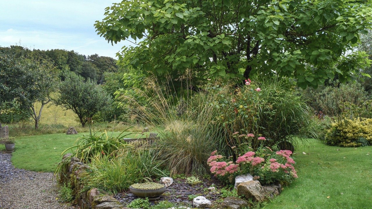 Photo of Outdoor in St. Neot