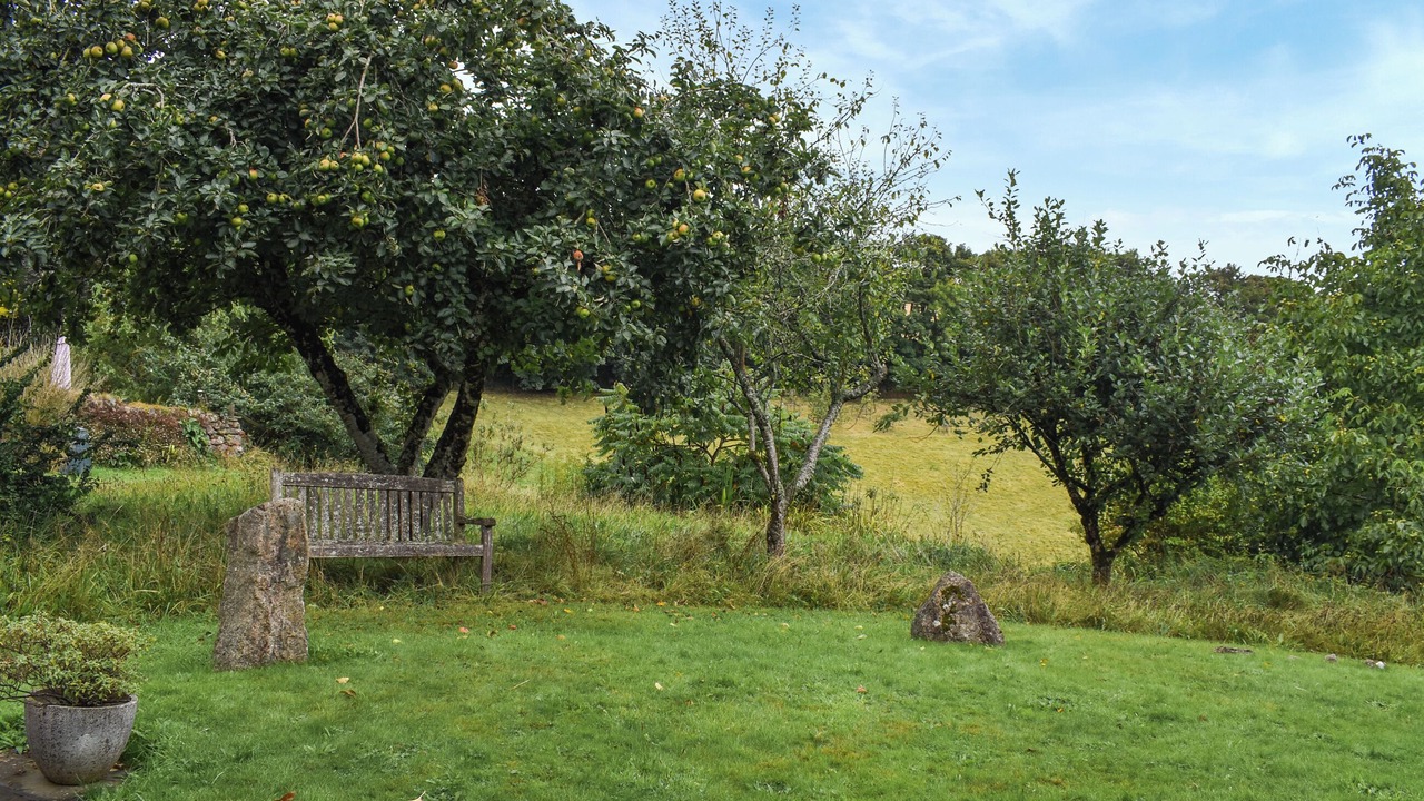 Photo of Outdoor in St. Neot