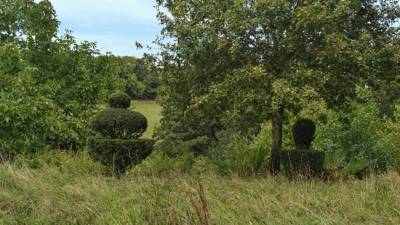 Photo of Outdoor in St. Neot