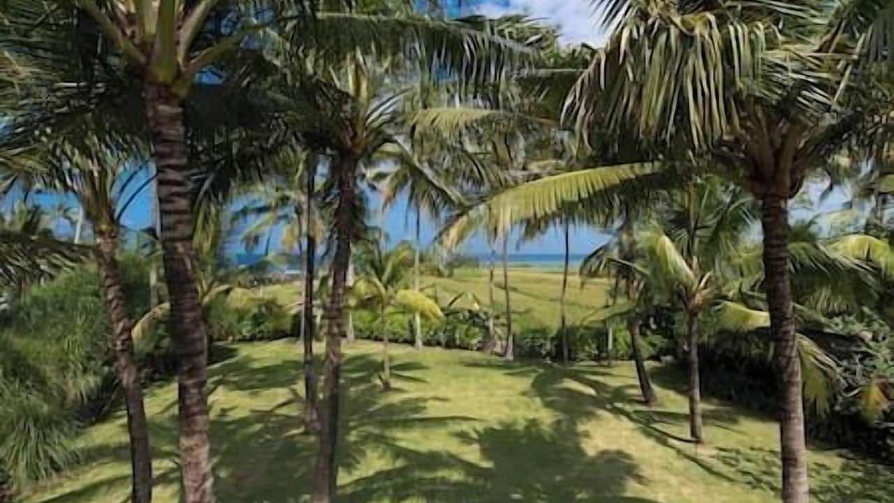 Photo of Outdoor in Ketewel