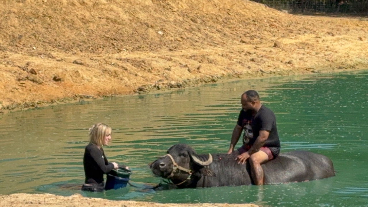 Photo of Others in Valley View