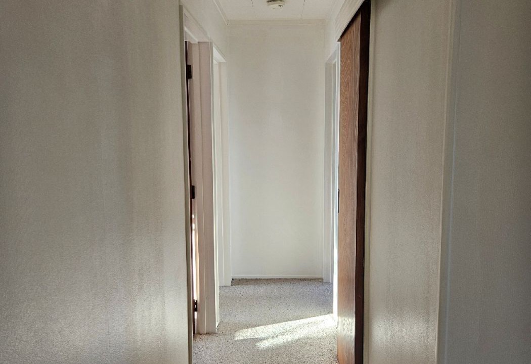 Photo of Others in Greytown