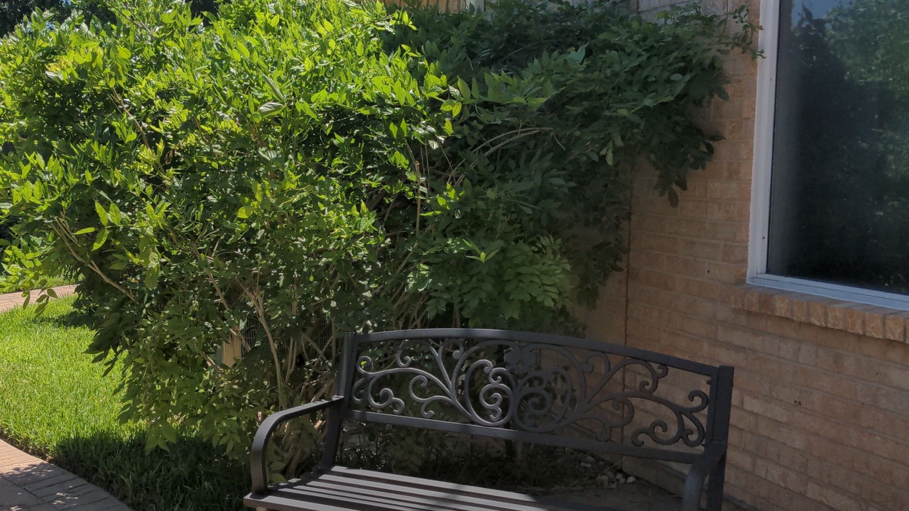 Photo of Patio Balcony in Sugar Land