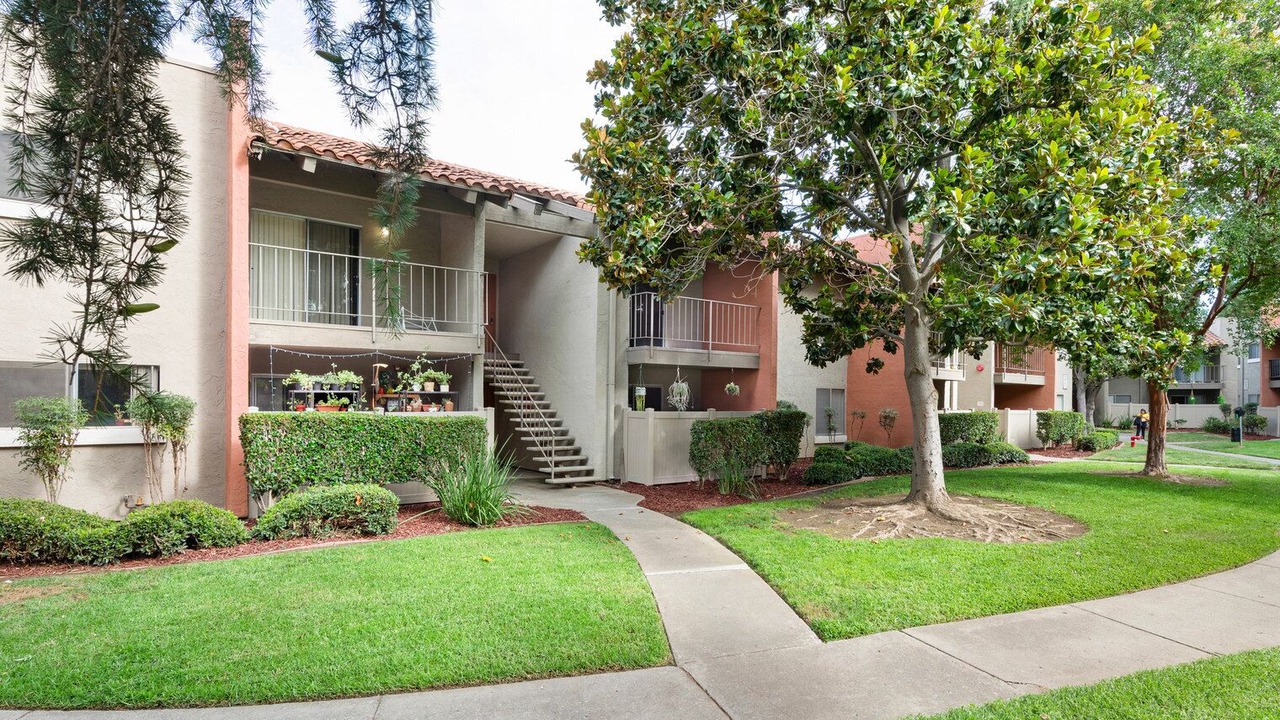 Photo of Outdoor in Campbell