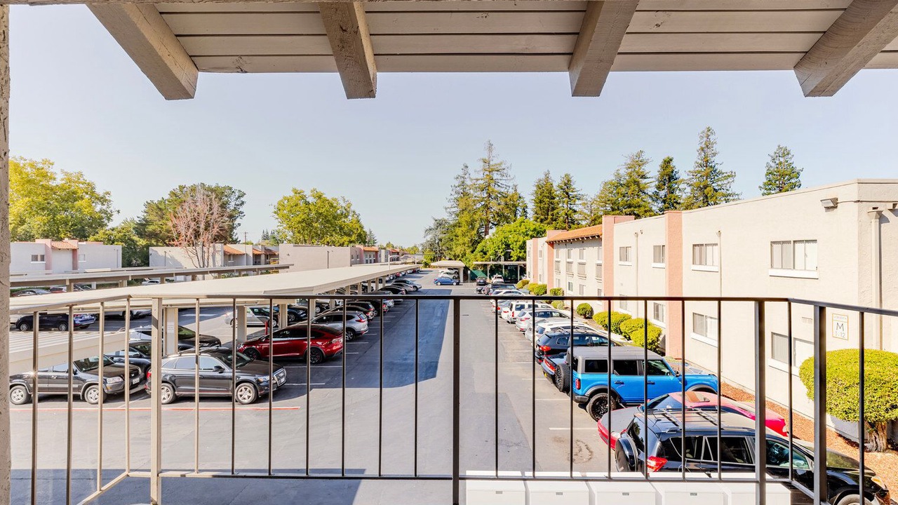 Photo of Outdoor in Campbell