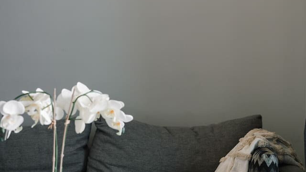 Photo of Livingroom in Macgregor