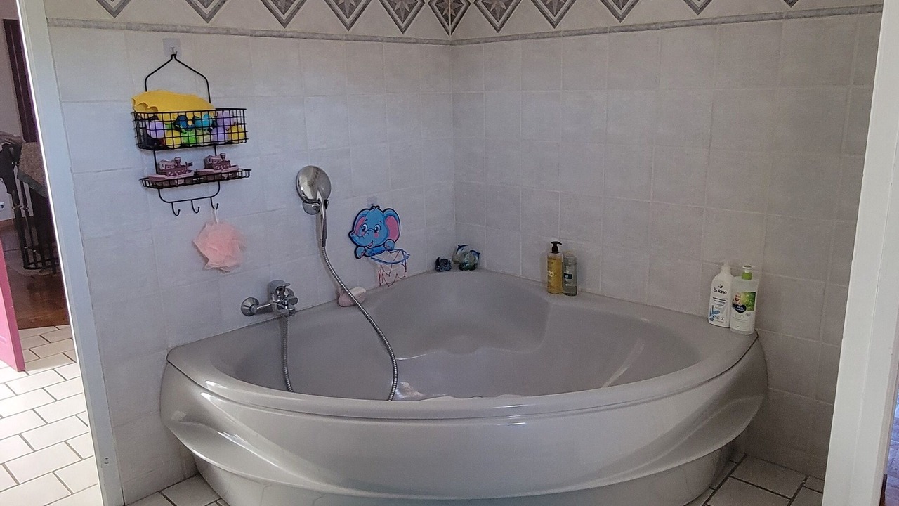 Photo of Bathroom in Saint-Cyr-en-Val