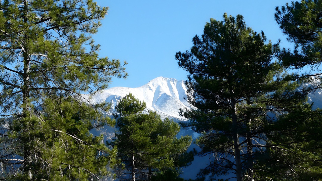 Photo of Others in Sahorre