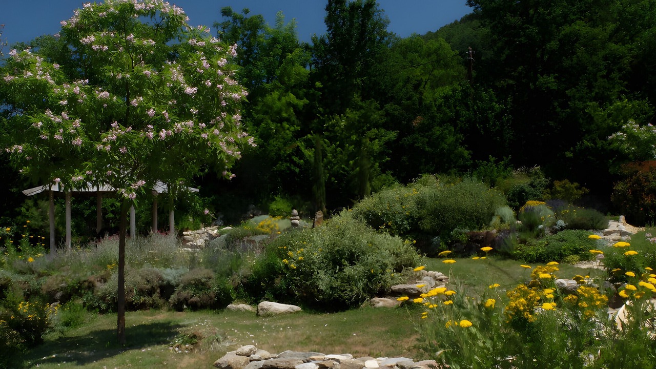 Photo of Outdoor in Sahorre