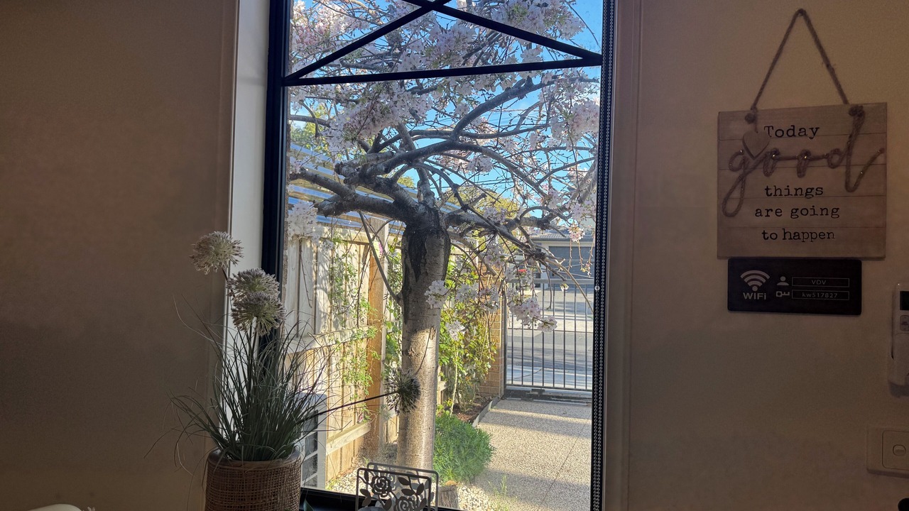 Photo of Others in Bentleigh