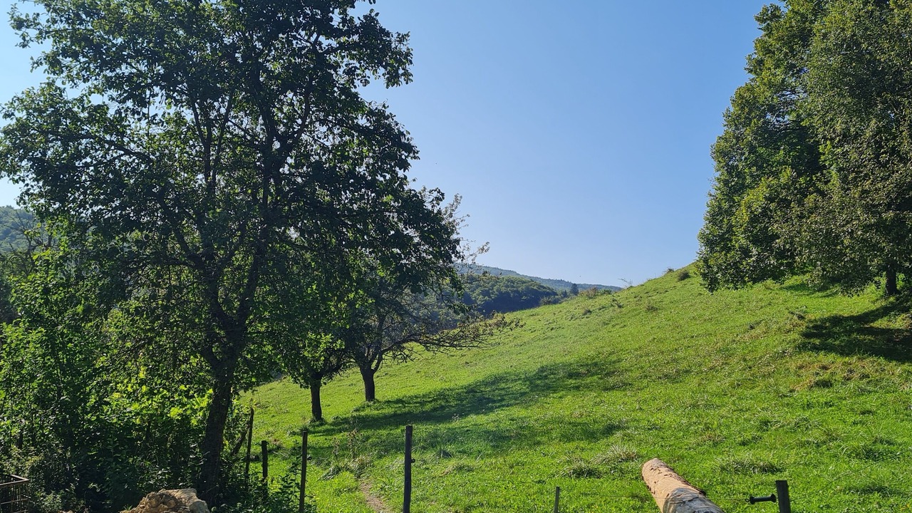 Photo of Others in Saint-Martin-en-Vercors