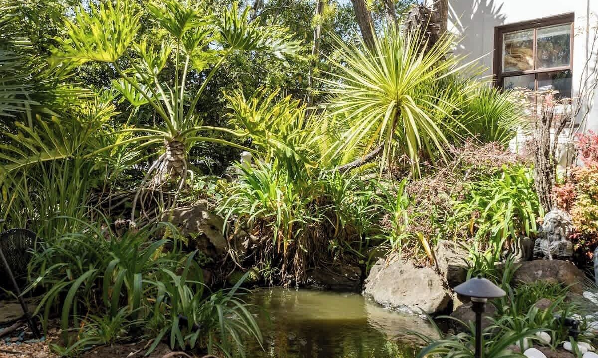 Photo of Outdoor in Claremont
