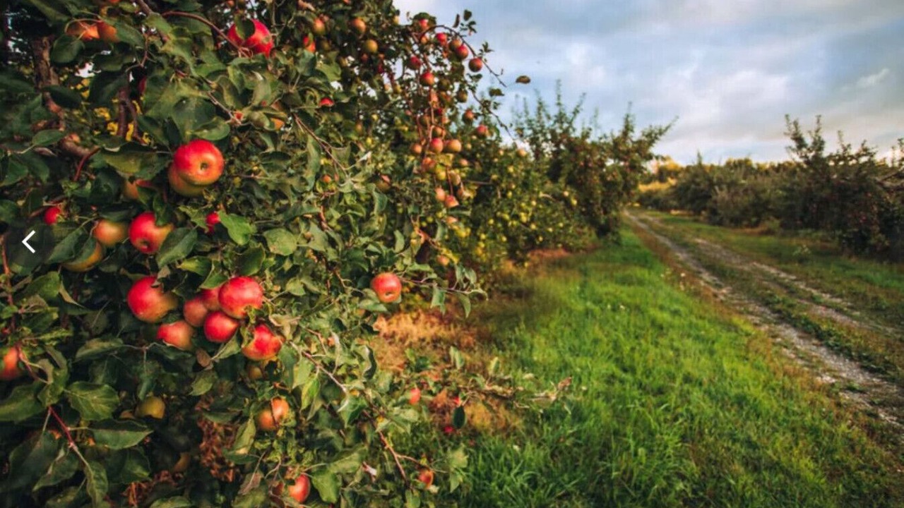 Photo of Others in Richmond